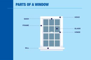 An infographic showing the parts of a window, labeling the head, sash, frame, glass, hinge, and sill. 