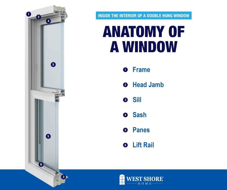 An infographic of the inside anatomy of a window.